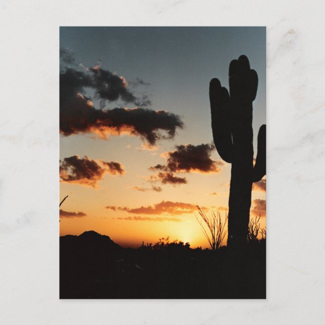 Arizona Sunset Picture Postcard (Front)