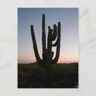 Arizona Sunset Postcard