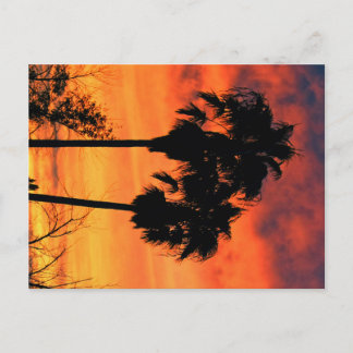 Arizona Sunset Postcard