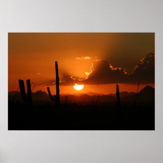 Arizona Sunset Poster