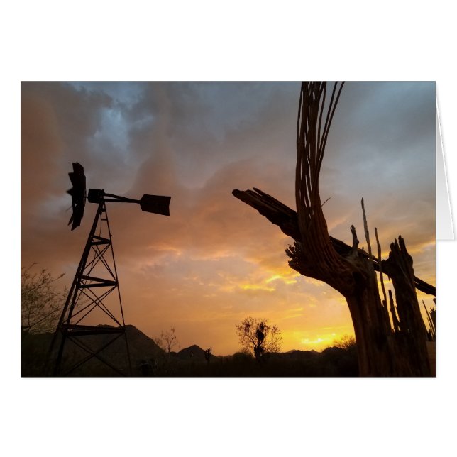 Arizona Sunset Windmill Saguaro Cactus Skeleton (Front Horizontal)