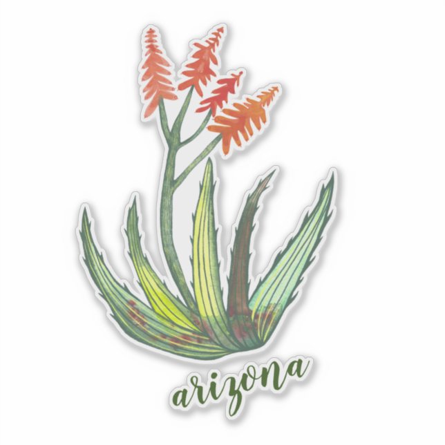 ARIZONA Watercolor Aloe Vera Succulent FLowers (Front)