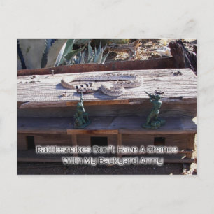 Arizona Western Diamondback Rattlesnake Postcard