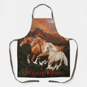 Arizona Wild horses Apron