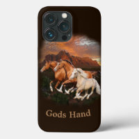 Arizona Wild horses