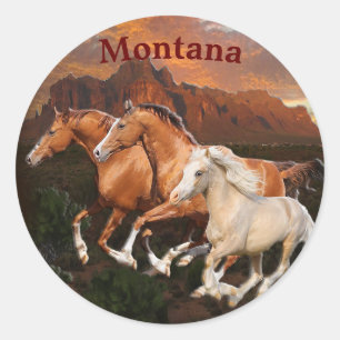 Arizona Wild horses Classic Round Sticker