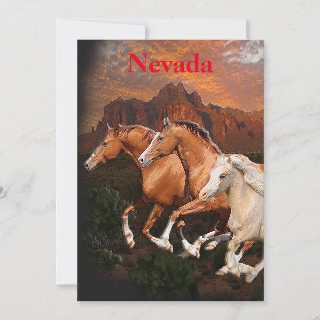 Arizona Wild horses Holiday Card (Front)