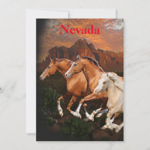Arizona Wild horses Holiday Card
