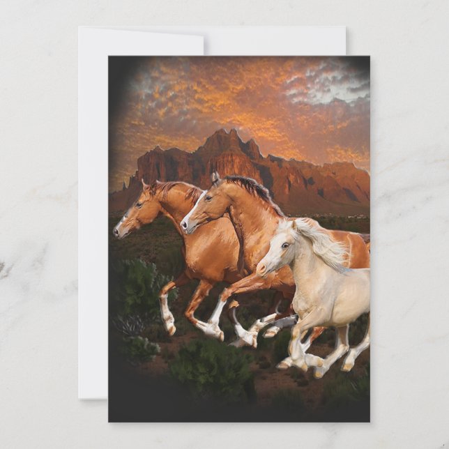 Arizona Wild horses Holiday Card (Front)