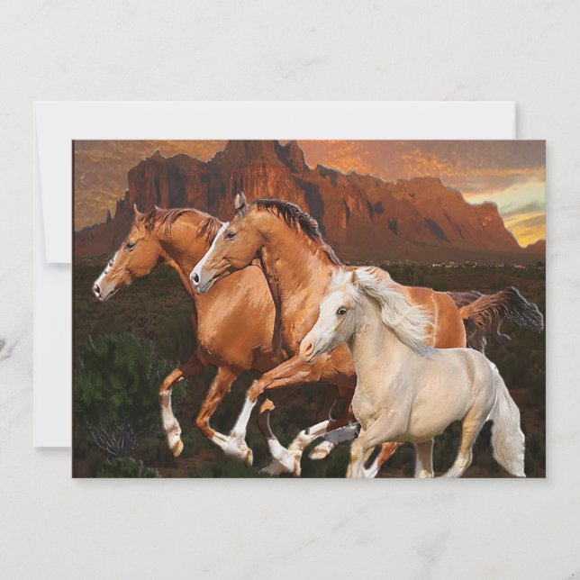 Arizona Wild horses Thank You Card (Front)