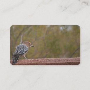 Arizona Woodpecker Business Cards