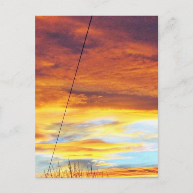 Ark Orange Sky At Sunset Postcard (Front)