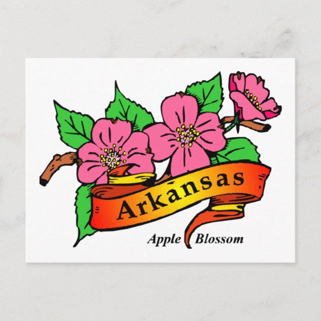 Arkansas Apple Blossom Postcard (Front)