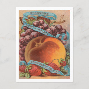 Arkansas fruit vintage advertising postcard