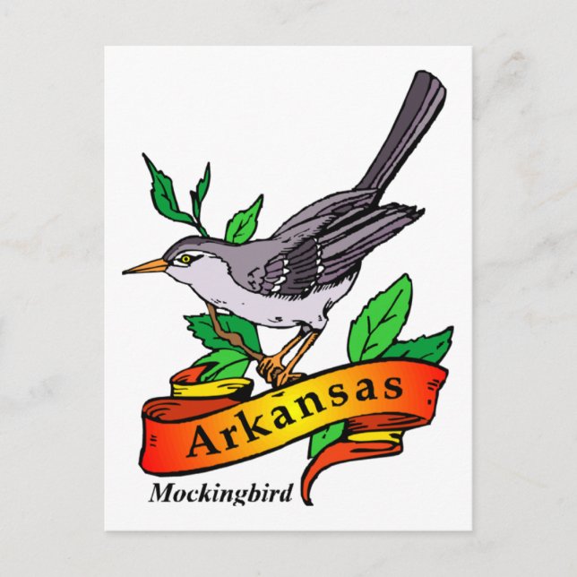 arkansas mockingbird postcard (Front)