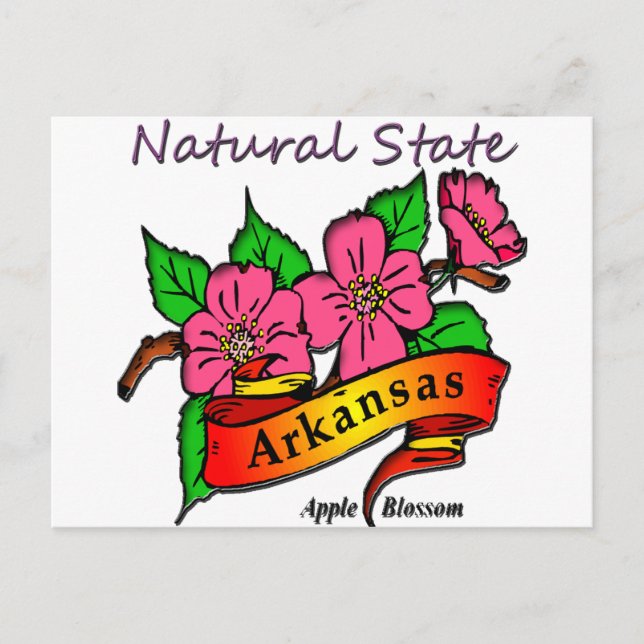 Arkansas Natural State Apple Blossom Postcard (Front)