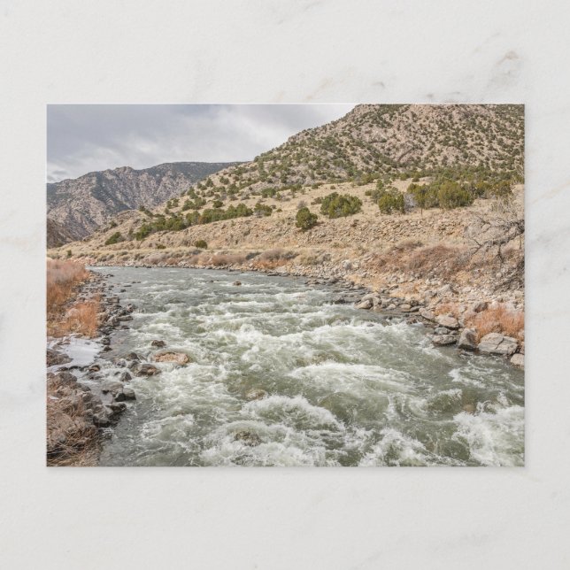 Arkansas River in Colorado Postcard (Front)