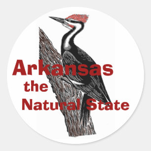 Arkansas Sticker