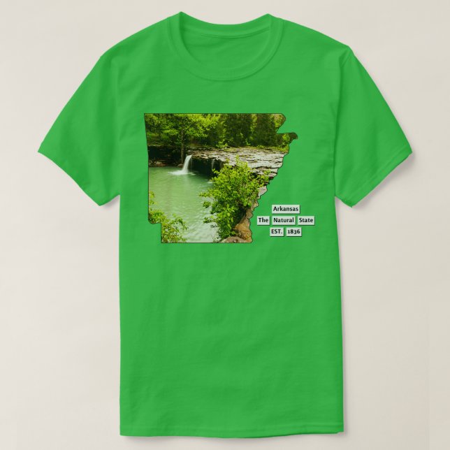 Arkansas USA T-Shirt (Design Front)
