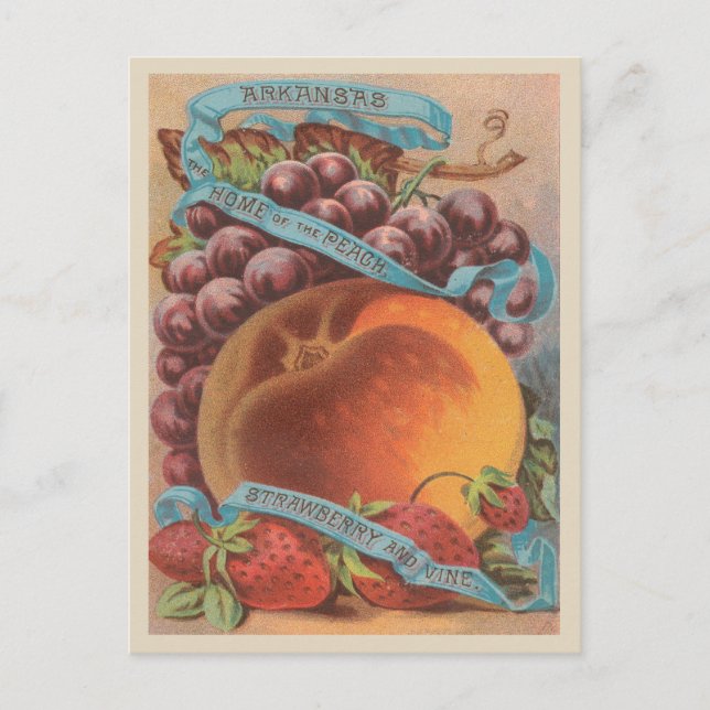 Arkansas Vintage Peach Strawberry Grapes Postcard (Front)