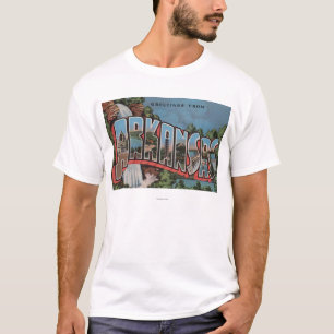 Arkansas (Waterfall Scene) - Large Letter Scenes T-Shirt