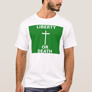 Arklow Flag T-Shirt