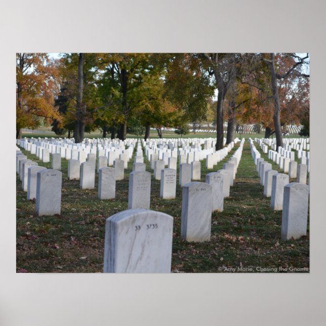 Arlington Cemetery Fall 2013 Headstones Poster (Front)