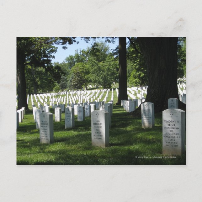 Arlington Cemetery Postcard (Front)