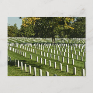 Arlington National Cemetery Postcard
