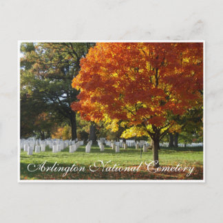 Arlington National Cemetery Postcard