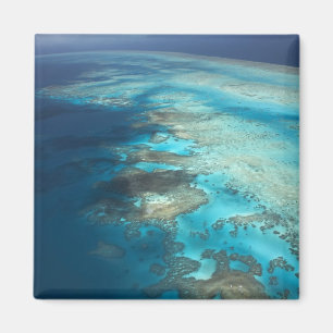 Arlington Reef, Great Barrier Reef Marine Park, Magnet