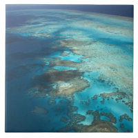 Arlington Reef, Great Barrier Reef Marine Park,