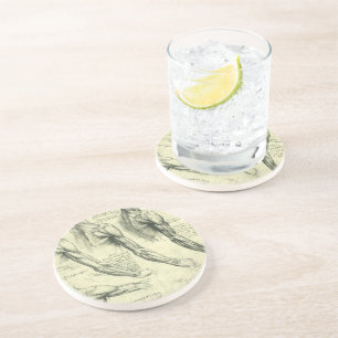 Arm and Shoulder Anatomy by Leonardo da Vinci Coaster