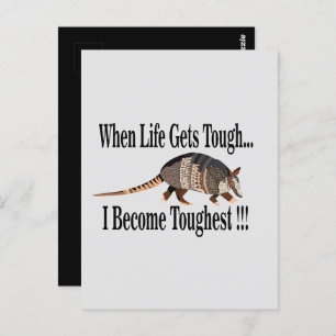 Armadillo Animal Inspirational Postcard