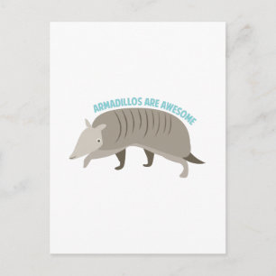 Armadillo_Armadillos_Are_Awe Postcard