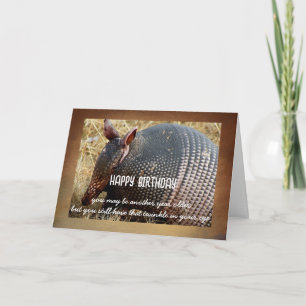 armadillo birthday card humor photo art 