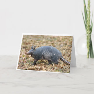 Armadillo Card