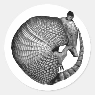 Armadillo Classic Round Sticker