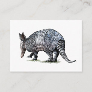 Armadillo Enclosure Card