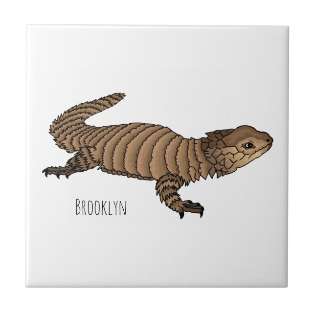 Armadillo girdled cartoon illustration tile (Front)