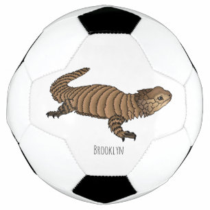 Armadillo girdled lizard cartoon illustration football