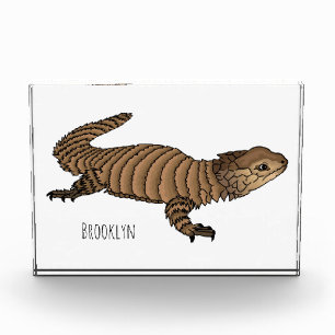 Armadillo girdled lizard cartoon illustration photo block