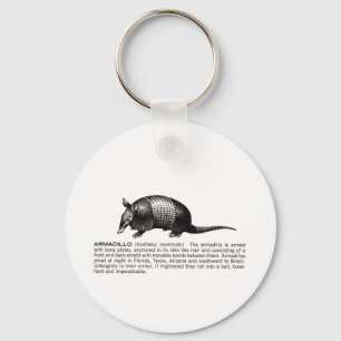 armadillo key ring
