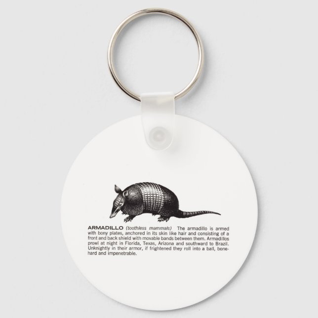 armadillo key ring (Front)