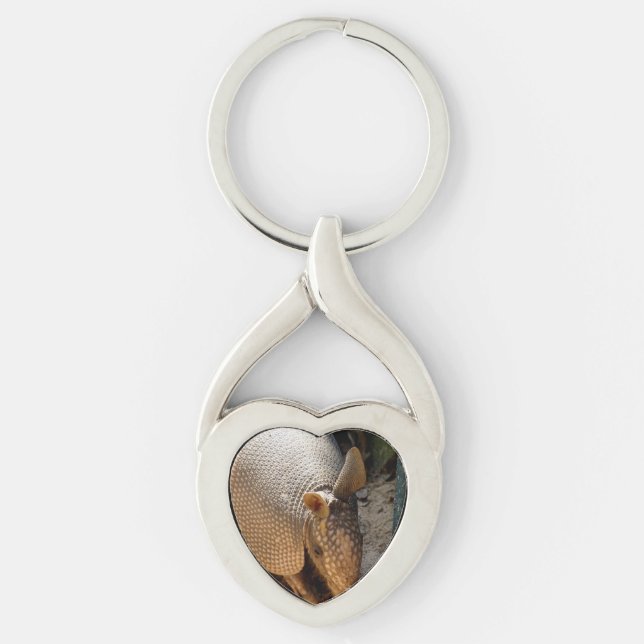 Armadillo Key Ring (Front)