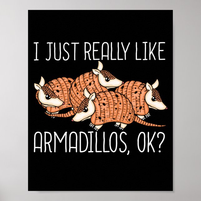 Armadillo Lover Wildlife Animal Gift Armadillo Poster (Front)
