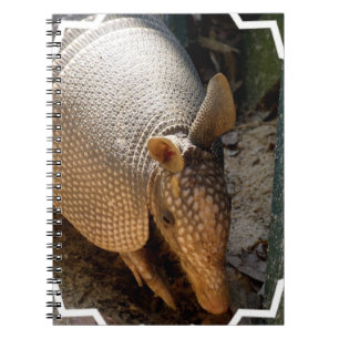 Armadillo Notebook