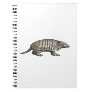 Armadillo Notebook