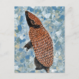 Armadillo Painting Postcard