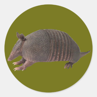 Armadillo plain classic round sticker
